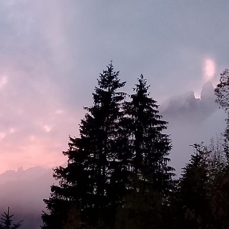 Appartamento Niki Campitello Campitello di Fassa Luaran gambar