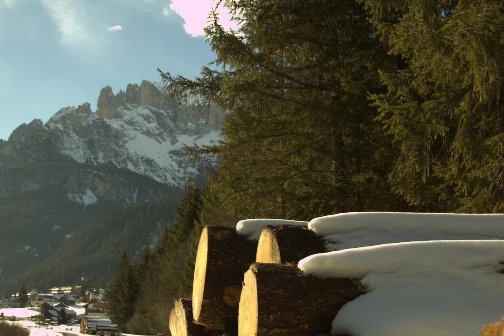 Appartamento Niki Campitello Campitello di Fassa Luaran gambar